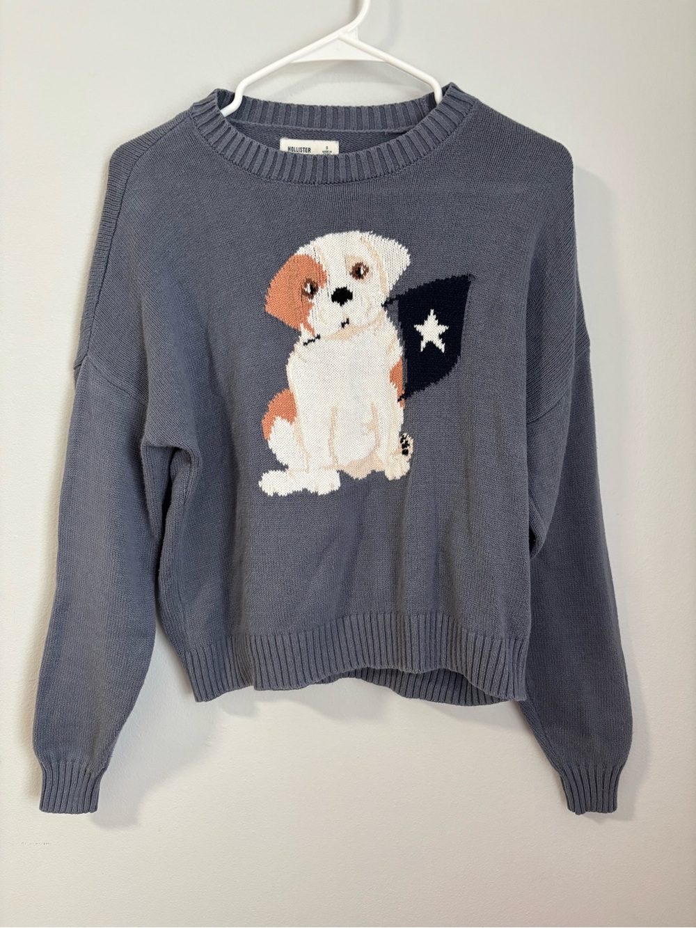 Hollister Blue Dog Sweater